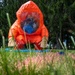 A person wearing a full orange hazmat (HAZMAT) suit with a blue respirator mask is kneeling on grass, appearing to examine or collect samples from the ground. The photo is taken from a ground-level perspective, emphasizing the grass in the foreground. Pink and blue markers or tape are visible on the grass near the subject, suggesting a controlled investigation or training exercise.
