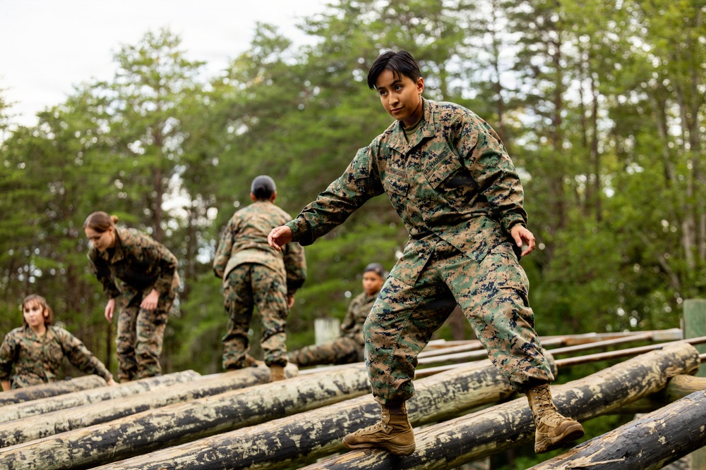 Multiple individuals in U.S. Marine Corps MARPAT woodland digital camouflage uniforms are navigating a log obstacle course in a forested outdoor training environment. The foreground subject, a female Marine, is balancing and stepping across horizontal logs with focused concentration. The scene depicts a military physical training or obstacle course exercise.