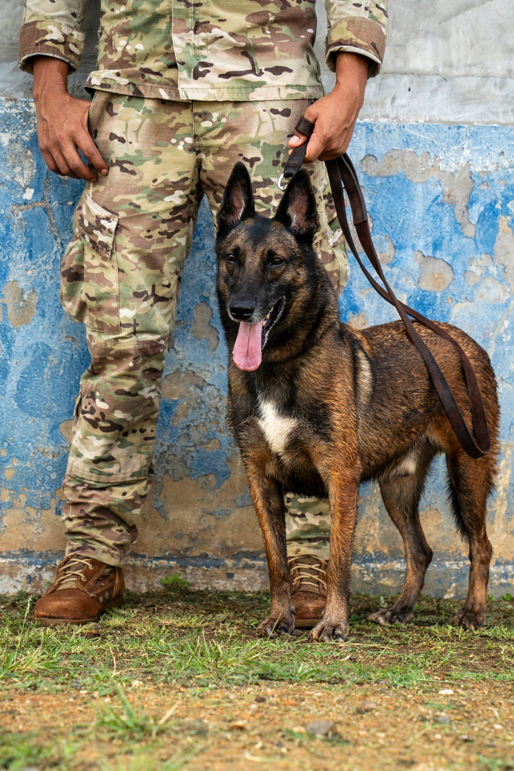 PANAMAX 2026 strengthens partnerships through multinational canine training