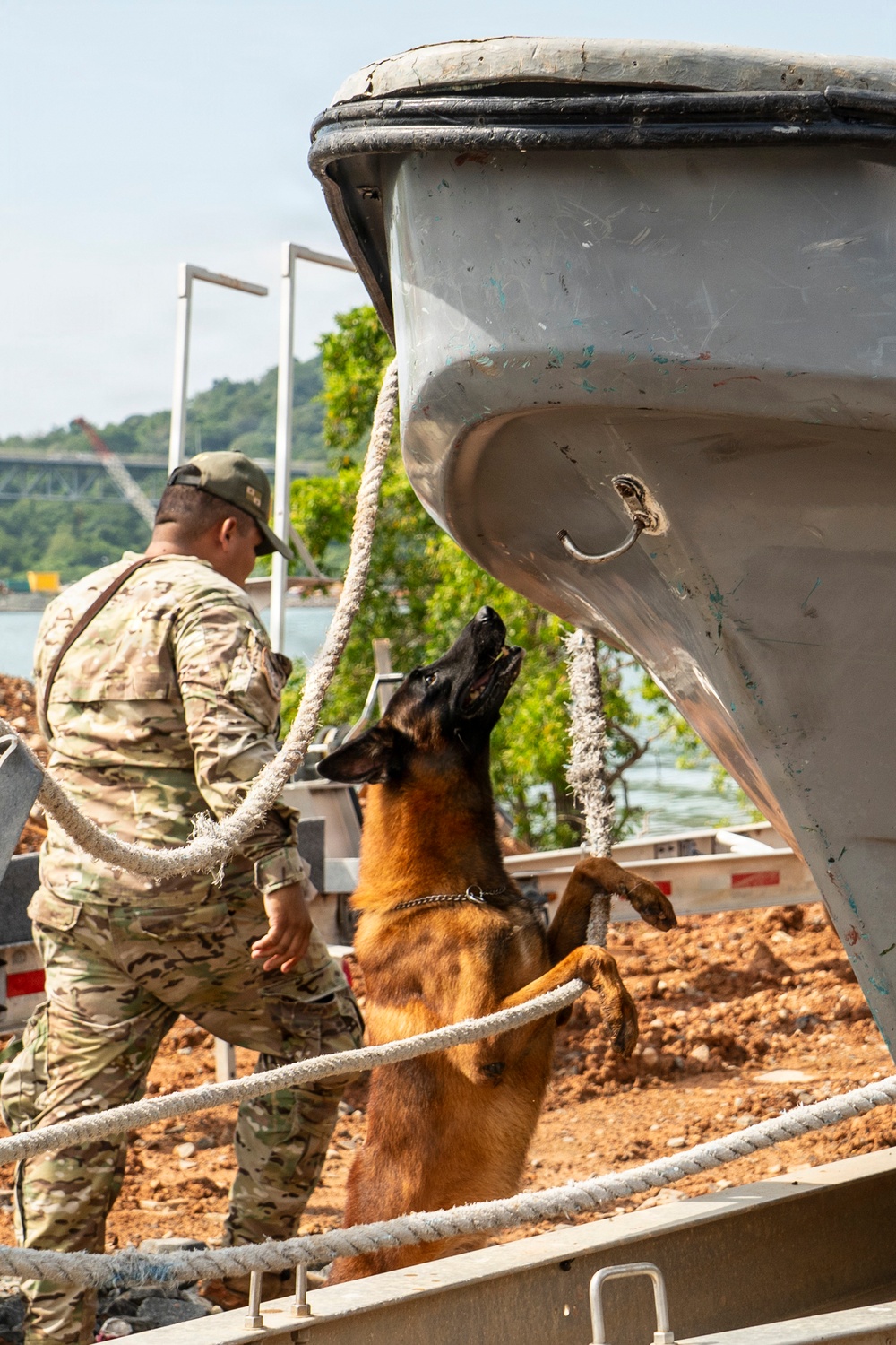 PANAMAX 2026 strengthens partnerships through multinational canine training
