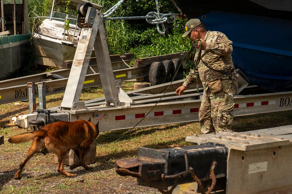 PANAMAX 2026 strengthens partnerships through multinational canine training