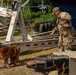 PANAMAX 2026 strengthens partnerships through multinational canine training