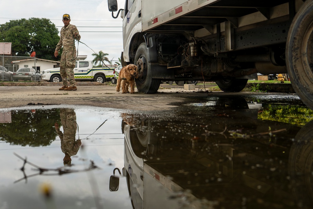 PANAMAX 2026 strengthens partnerships through multinational canine training