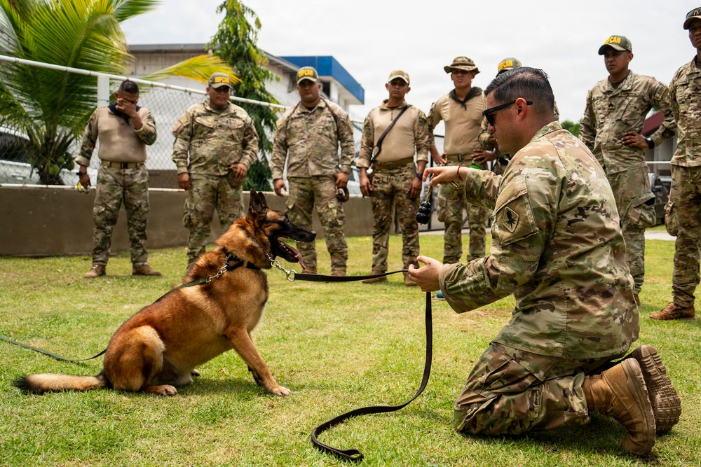 PANAMAX 2026 strengthens partnerships through multinational canine training