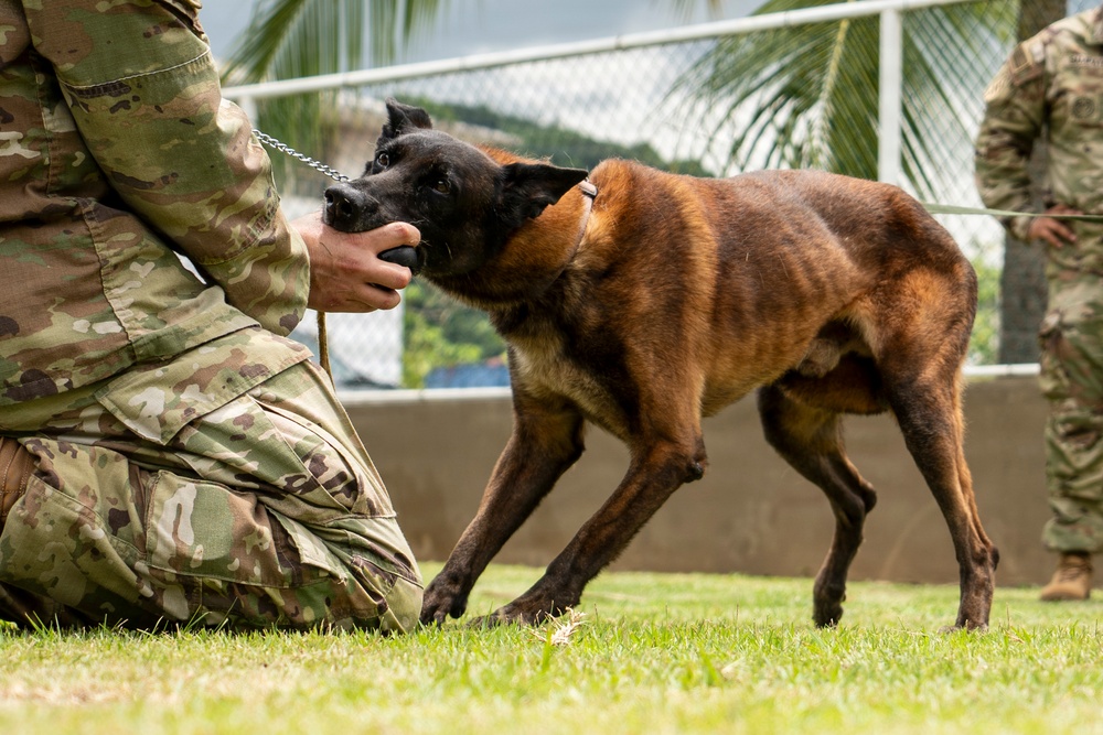 PANAMAX 2026 strengthens partnerships through multinational canine training