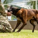 PANAMAX 2026 strengthens partnerships through multinational canine training