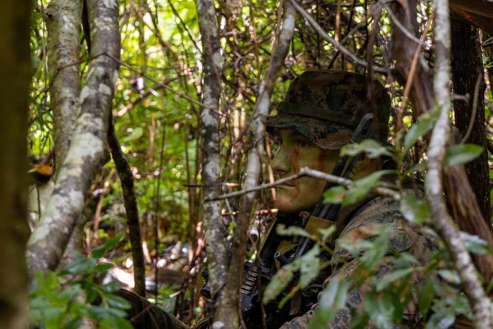 A soldier in digital camouflage uniform is positioned within dense forest vegetation, partially concealed by branches and foliage. The individual has green and brown camouflage face paint applied and is carrying a rifle. The scene appears to depict a military field exercise or patrol in a jungle or woodland environment.