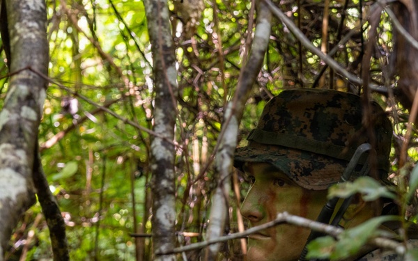 Multi-Domain Reconnaissance Course | Phase 3