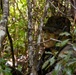 A soldier in digital camouflage uniform is positioned within dense forest vegetation, partially concealed by branches and foliage. The individual has green and brown camouflage face paint applied and is carrying a rifle. The scene appears to depict a military field exercise or patrol in a jungle or woodland environment.