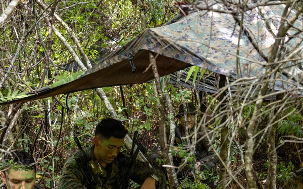 Multi-Domain Reconnaissance Course | Phase 3