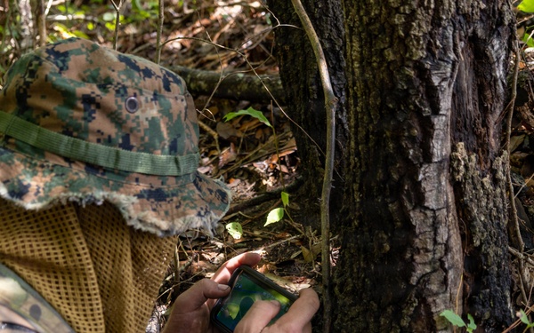 Multi-Domain Reconnaissance Course | Phase 3