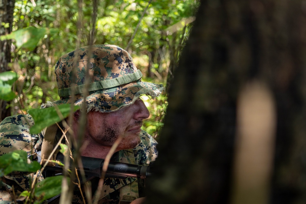 A male individual wearing digital camouflage uniform and matching boonie hat is positioned in dense woodland vegetation, partially concealed by foliage. He appears to be in a surveillance or observation posture, looking to his right. A firearm barrel is partially visible at the lower portion of the frame.