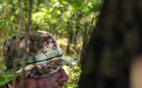 Multi-Domain Reconnaissance Course | Phase 3
