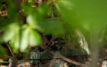 Multi-Domain Reconnaissance Course | Phase 3