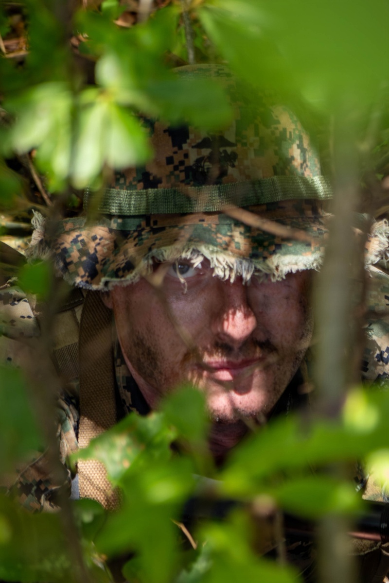 Multi-Domain Reconnaissance Course | Phase 3