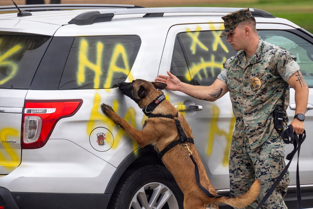 EOD conducts a simulated security breach on MCAS Miramar