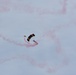 Arctic Thunder Open House Practice Day