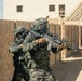 U.S. Marines with Echo Co., 2nd Bn., 1st Marines, rehearse platoon attacks with ROK Marines during AFX
