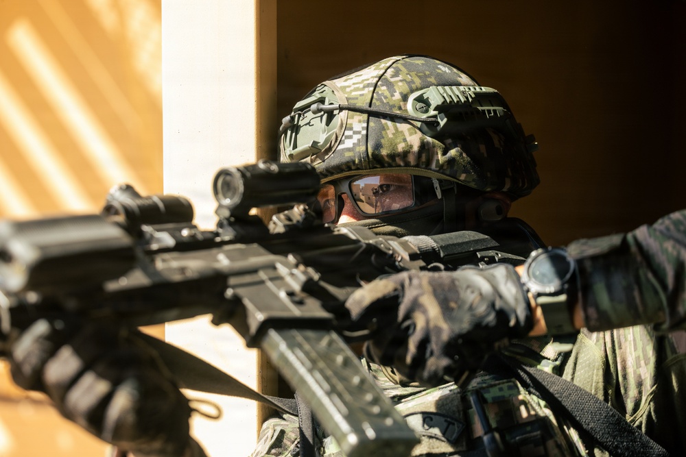 U.S. Marines with Echo Co., 2nd Bn., 1st Marines, rehearse platoon attacks with ROK Marines during AFX