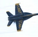 U.S. Navy Blue Angels ATOH incentive flight
