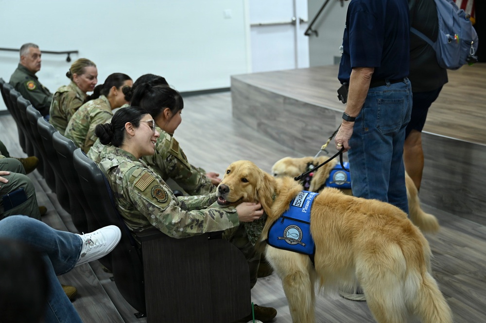 A therapy or facility dog wearing a blue service vest is being introduced to military personnel seated in an auditorium or briefing room. A civilian handler holds the golden retriever on a leash while a smiling service member in camouflage uniform pets the dog. The setting appears to be a morale or wellness event on a military installation.