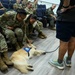 Military personnel in camouflage uniforms are interacting with a therapy or service dog, a golden retriever wearing a blue vest, in what appears to be a briefing room or auditorium. The dog is lying on the floor while two service members crouch down to pet it, with others smiling and watching in the background. A civilian handler holds the dog's leash nearby.