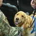 A golden retriever wearing a blue service/therapy dog vest is being petted by a military service member in OCP (Operational Camouflage Pattern) uniform. The dog appears happy and engaged, with its mouth open in what appears to be a relaxed, friendly expression. This appears to be a therapy dog visit at a military installation or event.