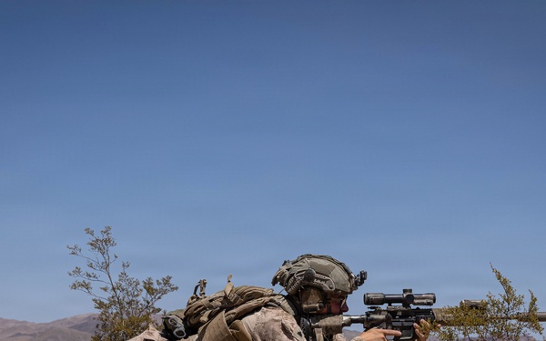 SLTE 4-26: Golf Company, 2nd Battalion, 2nd Marine Regiment Mobile Assault Course – Day 2