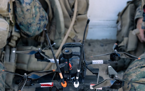 U.S. Marines with 2nd Bn., 1st Marines rehearse company attacks during AFX