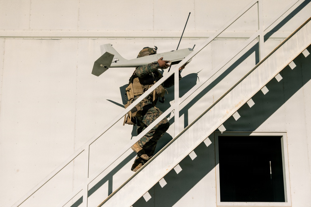 U.S. Marines with 2nd Bn., 1st Marines rehearse company attacks during AFX