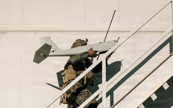 U.S. Marines with 2nd Bn., 1st Marines rehearse company attacks during AFX