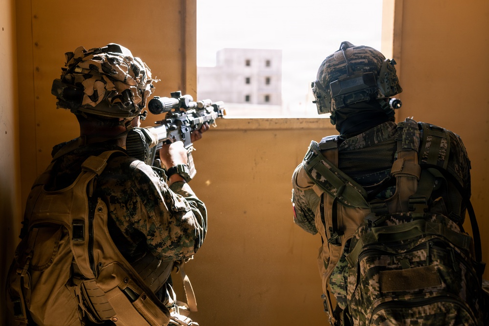 U.S. Marines with 2nd Bn., 1st Marines, rehearse company attacks during AFX