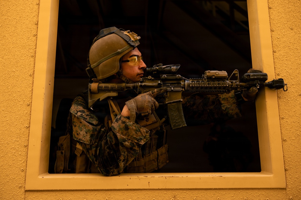 U.S. Marines with 2nd Bn., 1st Marines, rehearse company attacks during AFX