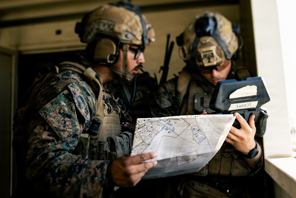 U.S. Marines with 2nd Bn., 1st Marines, rehearse company attacks during AFX