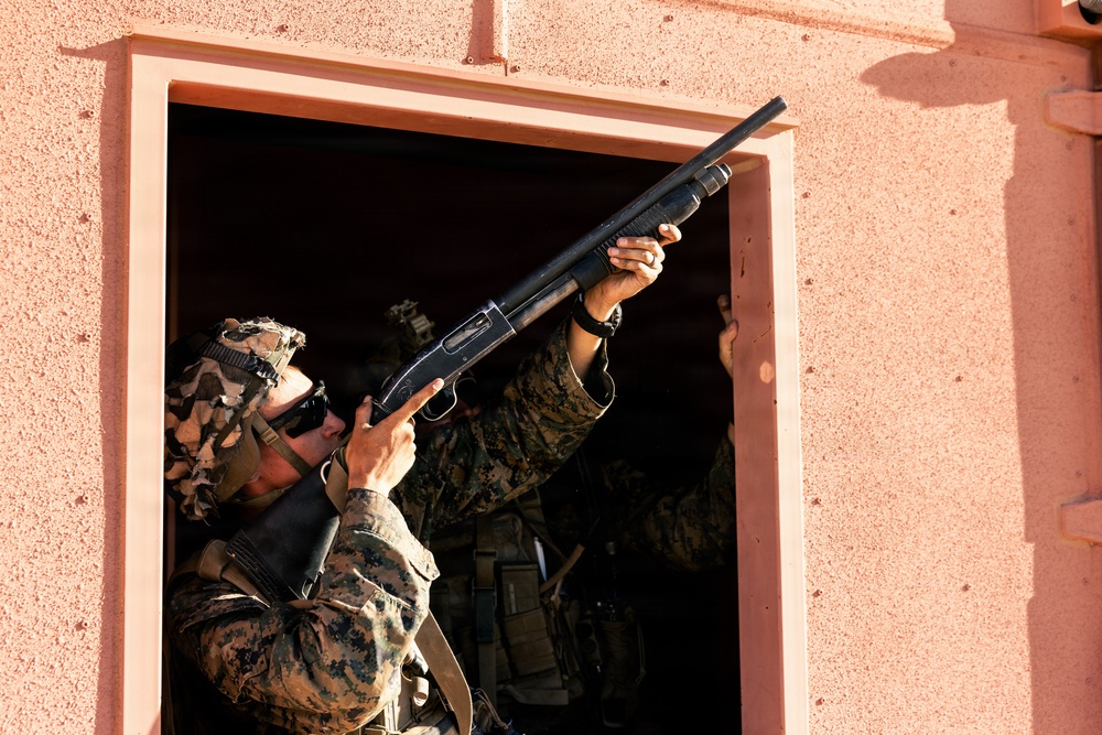 U.S. Marines with 2nd Bn., 1st Marines, rehearse company attacks during AFX