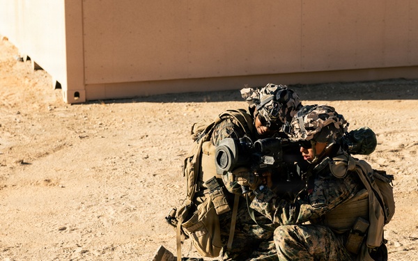 U.S. Marines with 2nd Bn., 1st Marines, rehearse company attacks during AFX