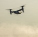 Exercise Pitch Black: Mindil Beach flying display