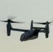Exercise Pitch Black: Mindil Beach flying display