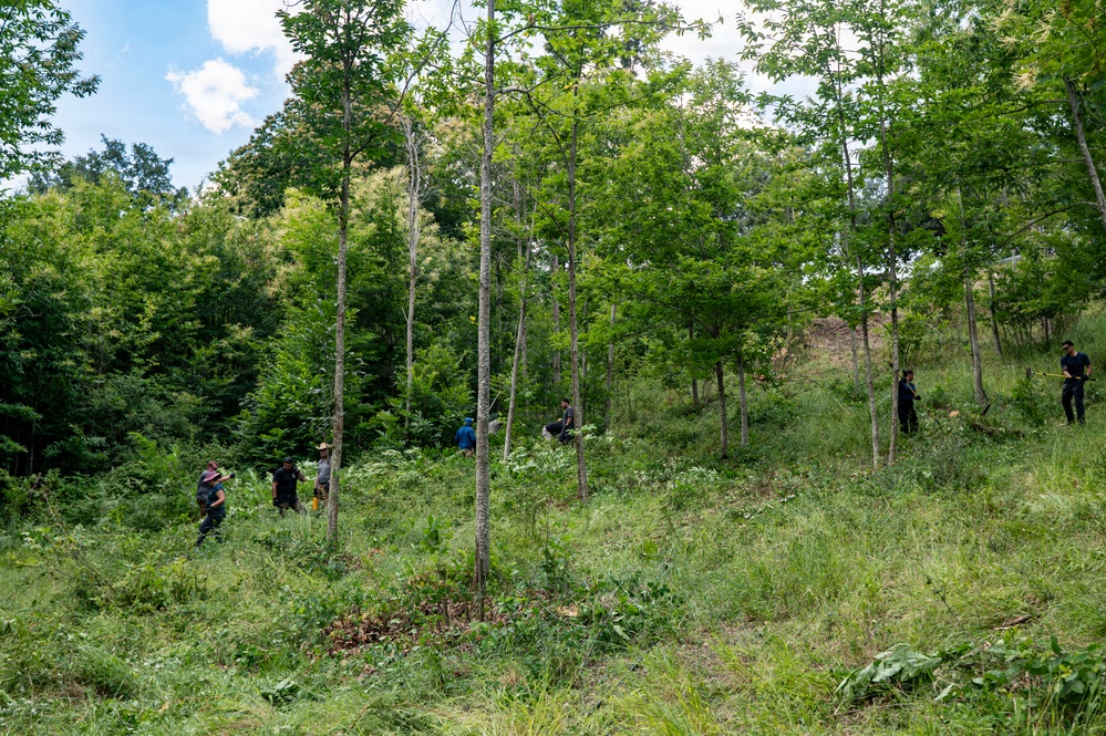 A group of approximately six people are working in a lush, green forested hillside area during what appears to be a clear summer day. The individuals are spread across the slope among young trees and dense undergrowth, appearing to be engaged in land management or forestry work. The scene suggests organized outdoor labor such as vegetation clearing, planting, or trail maintenance.