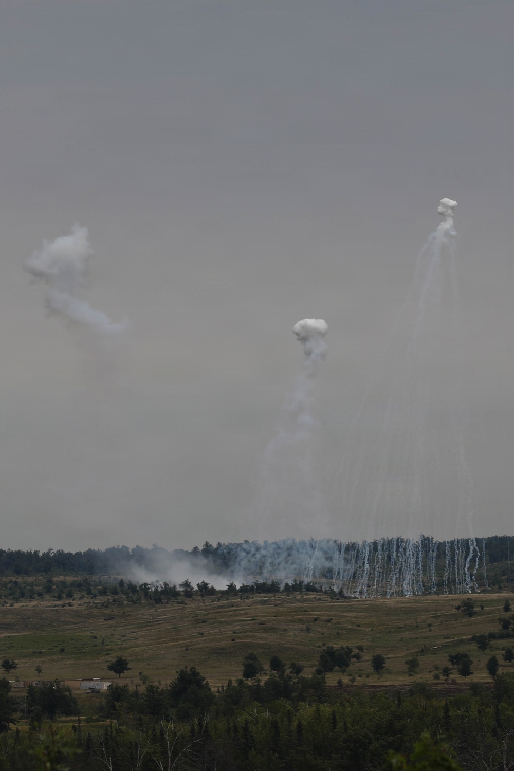 The image shows a landscape with multiple white smoke plumes rising into a hazy gray sky, consistent with artillery or munitions detonations during a military exercise or combat operation. In the mid-ground, a dense curtain of white streaking trails is visible along a treeline, characteristic of white phosphorus or smoke munitions bursting. The terrain is rolling grassland with scattered trees under overcast conditions.