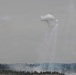 The image shows an aerial burst producing multiple white streaking trails descending from a central explosion point in the sky. A large white cloud of smoke or dispersed material is visible at the apex, with numerous thin white lines radiating downward toward a treeline. Additional smoke is visible at ground level and to the left of the frame.