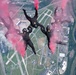 Golden Knights Drop Into the Rochester International Airshow