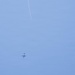 Golden Knights Drop Into the Rochester International Airshow