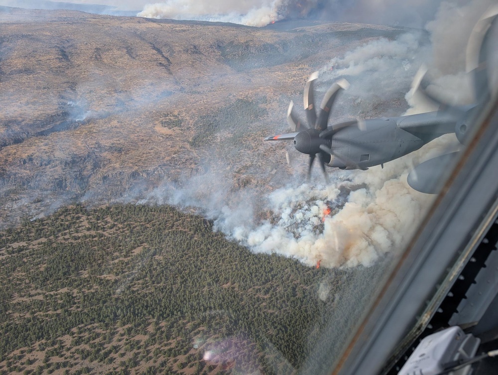 MAFFS Aerial Fire Fighting