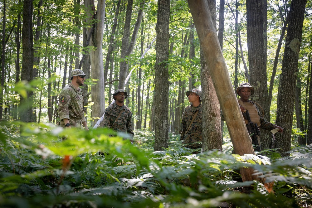 Northern Strike 26-2 | 4th Combat Readiness Regiment and multi-national countries conduct Land Navigation