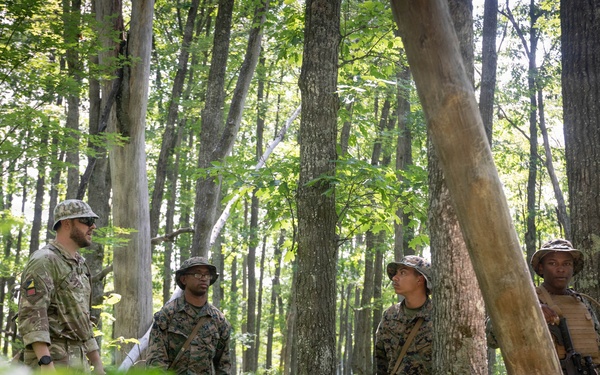 Northern Strike 26-2 | 4th Combat Readiness Regiment and multi-national countries conduct Land Navigation