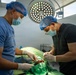 Shared expertise strengthens health security during Amistad 2026