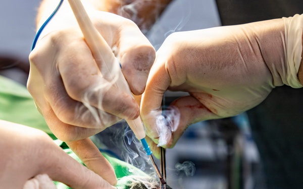 Shared expertise strengthens health security during Amistad 2026