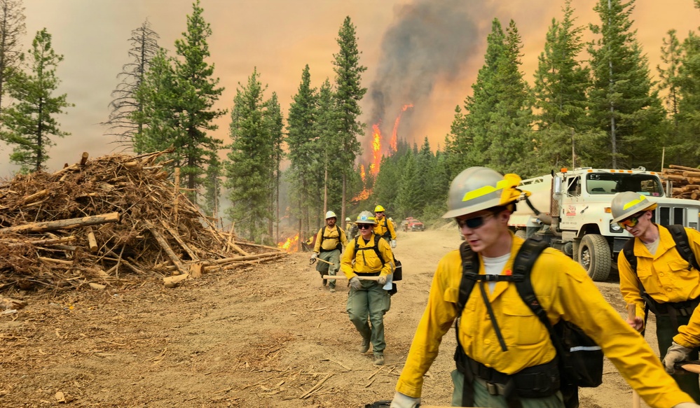 A crew of wildland firefighters in yellow Nomex gear and white hard hats moves along a dirt road away from an active forest fire burning intensely in the background. Large piles of cut logs and brush are visible on the left side of the road, while a white water tender truck is parked on the right. The sky is heavily obscured by orange and brown smoke, indicating a large, active fire event.