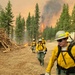 A crew of wildland firefighters in yellow Nomex gear and white hard hats moves along a dirt road away from an active forest fire burning intensely in the background. Large piles of cut logs and brush are visible on the left side of the road, while a white water tender truck is parked on the right. The sky is heavily obscured by orange and brown smoke, indicating a large, active fire event.